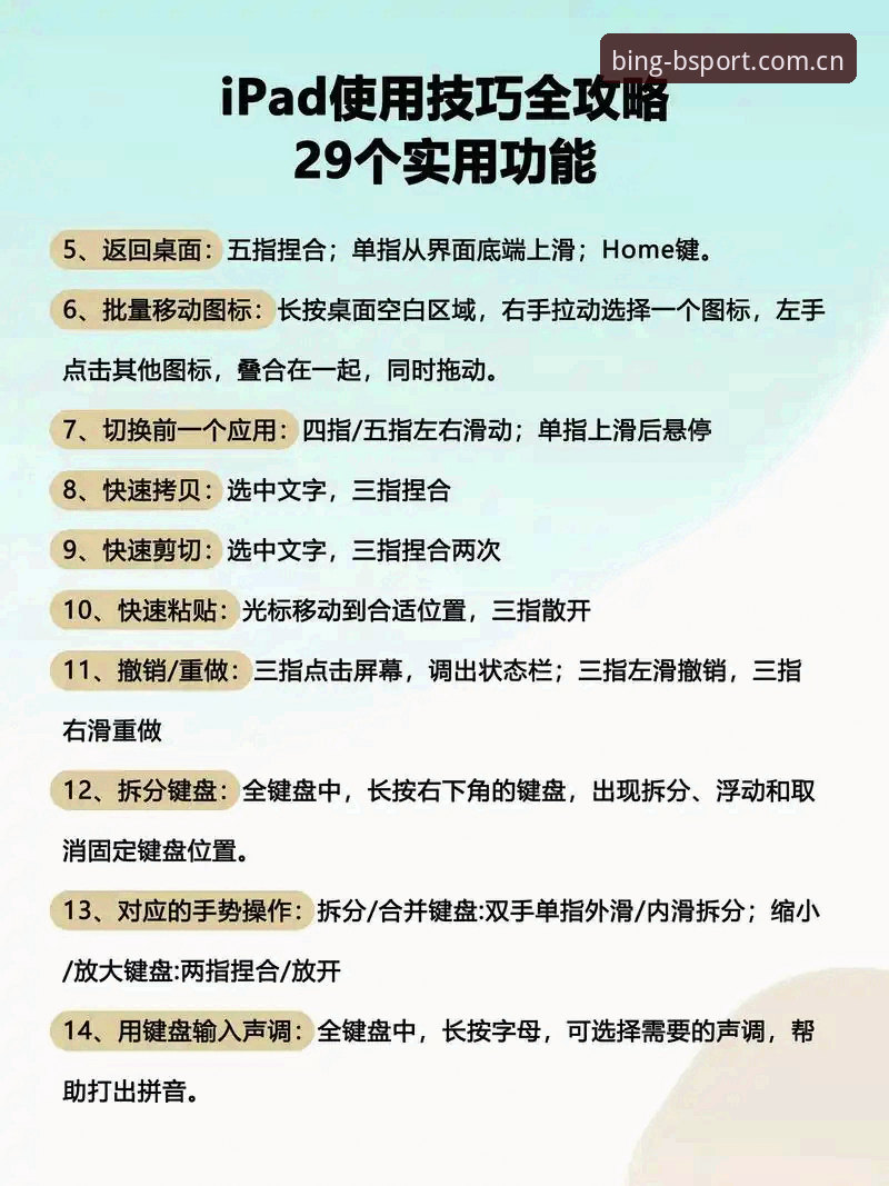 BSportApp体育使用指南：如何快速掌握BSPORT官网地址必备技巧